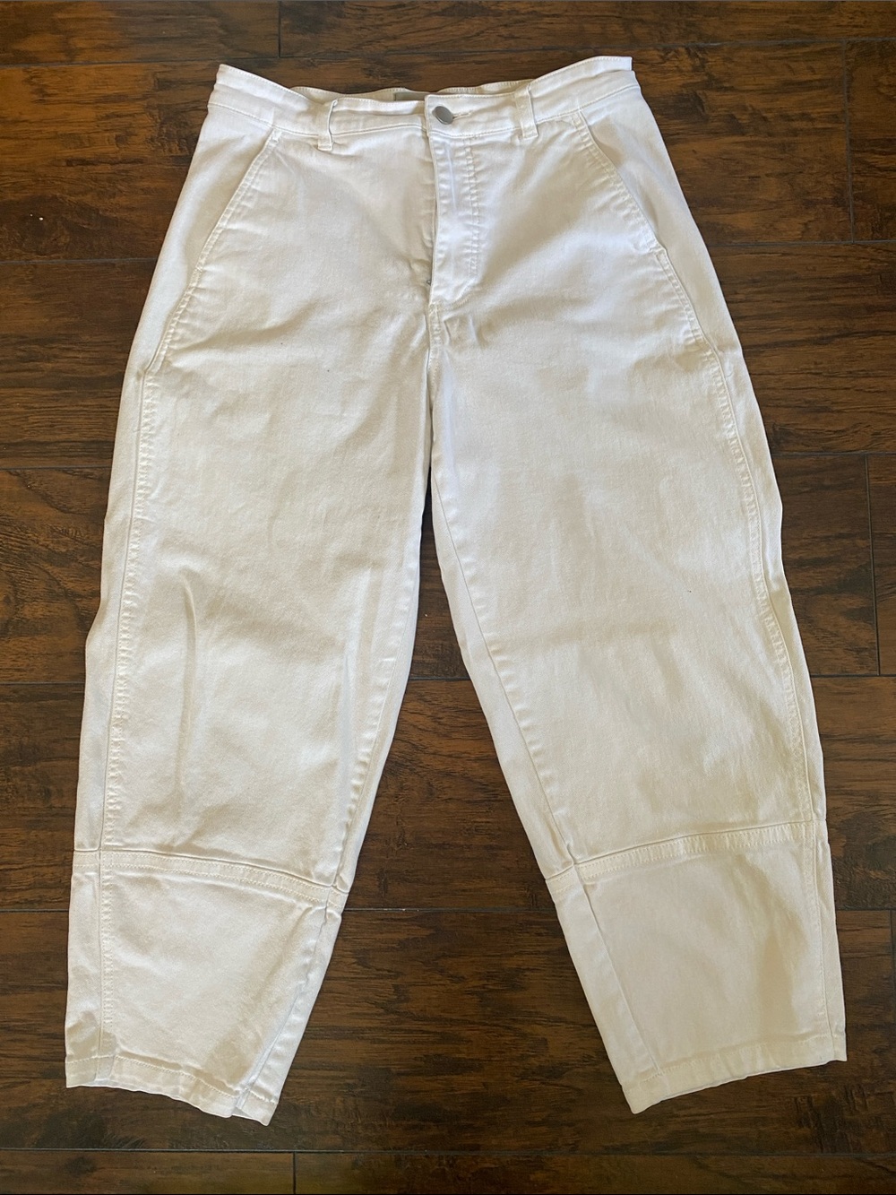 Everlane Utility Barrel Pant